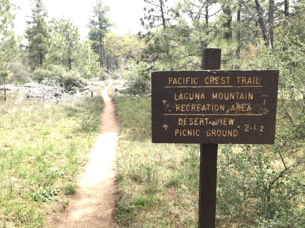 PCT Dag 3 – Mount Laguna