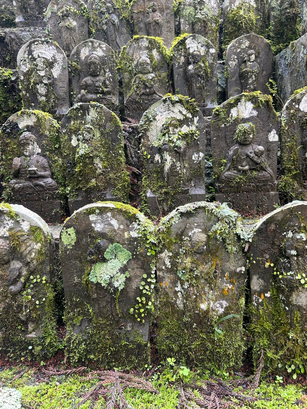 Shikoku88 – Dag&nbsp;28